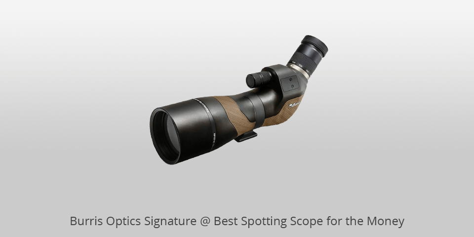 spotting scope for the money burris signature